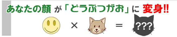 あなたの顔が「どうぶつがお」に返信!!