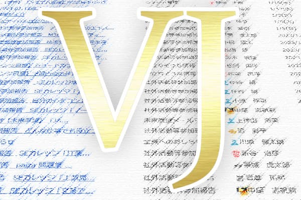 ネクストビジョンのVJ制度